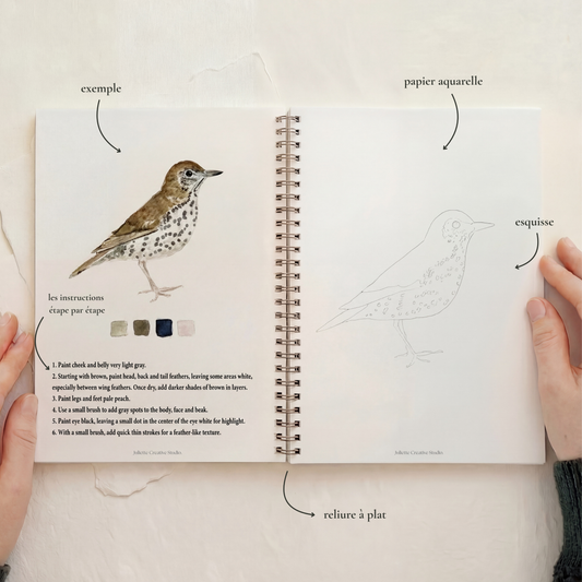 Exemple de page du carnet d’aquarelle Birds avec modèle d’oiseau à peindre et instructions étape par étape